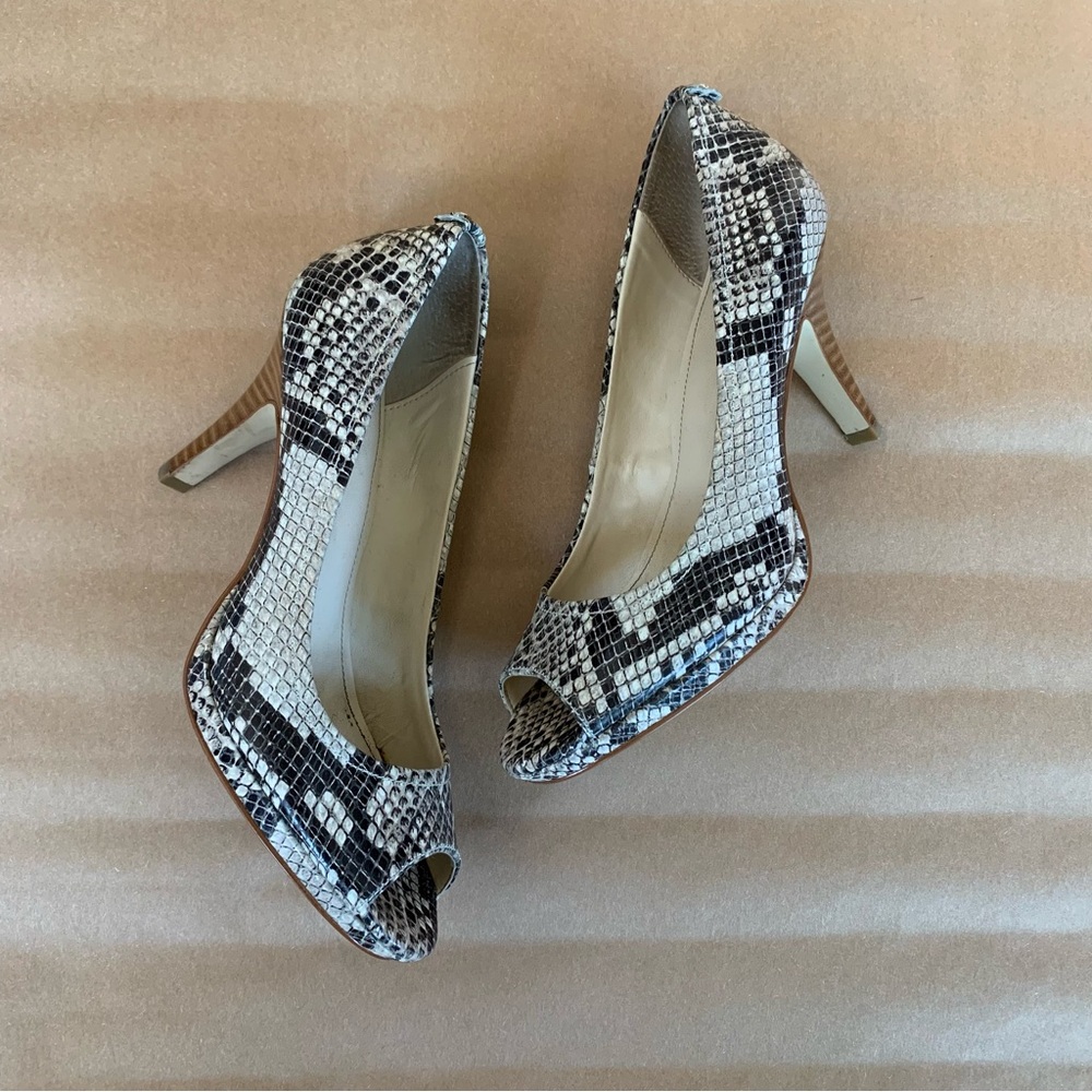 Calvin Klein Shoes 6 Kail Classic Snake Print